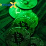 bittrader-2
